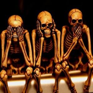 Meet your Posher, Adam